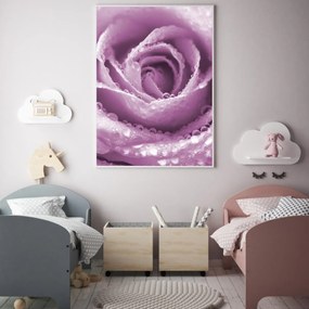 Poster - Trandafir (A4)