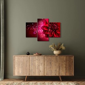 Tablou cu floare roșie (90x60 cm)