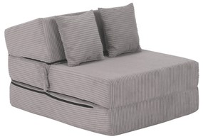 Fotoliu extensibil Plantearan (gri) . 1116447