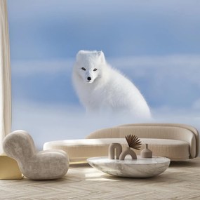 Fototapet - Vulpe polară (147x102 cm)