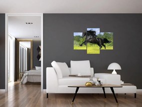 Tablou - Cal cu o coamă curgătoare (90x60 cm)