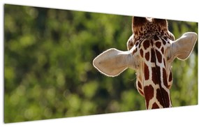 Tablou cu girafă din spate (120x50 cm)