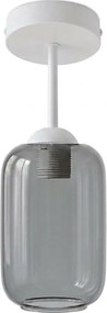 BRILAGI - LED Lustră aplicată R GLASS 1xE27/60W/230V Ø 14 cm alb/gri fumuriu