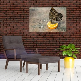 Tablou cu fluturi (90x60 cm)