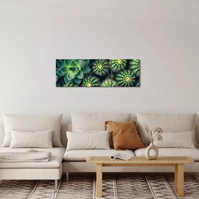 Tablou - Cactuși (cu ceas) (90x30 cm)