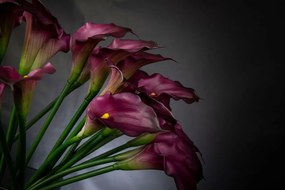 Aranjament floral mediu design LUX RUBBER CALLA