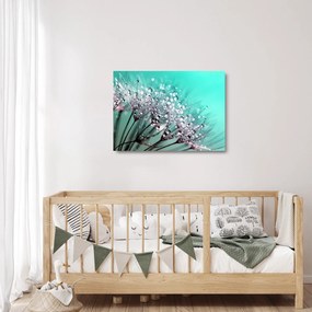 Tablou pe sticlă - planta cu rouă (70x50 cm)