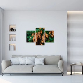 Tablou cu con de brad (90x60 cm)