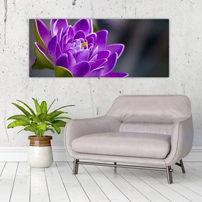 Tablou floarei (120x50 cm)