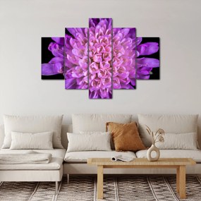 Tablou detailat cu floare (150x105 cm)