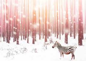 Tablou - Zebra în pădurea înzăpezită (70x50 cm)