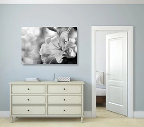 Tablou flori de crin pe fundalul abstract în design alb-negru