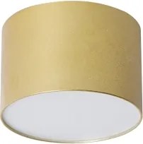 BRILAGI - Plafonieră de exterior FORIS LED/9W/230V Ø 9 cm auriu IP44