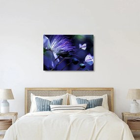 Tablou pe sticlă - Floare tropicală (70x50 cm)