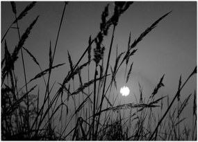 Tablou pe sticlă - Pajiște cu apus de soare (70x50 cm)