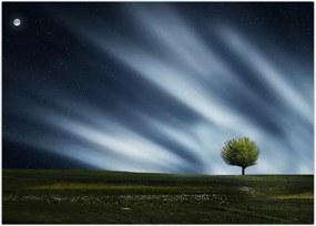 Tablou -Aurora boreală (70x50 cm)