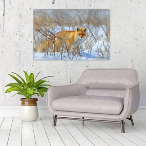 Tablou - Vulpe (90x60 cm)