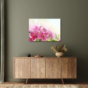 Tablou pe sticlă - Flori roz (70x50 cm)