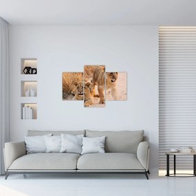 Tablou cu pui de leu (90x60 cm)