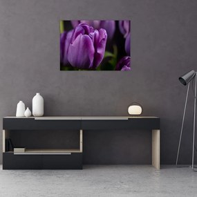 Tablou pe sticlă cu flori de lalele (70x50 cm)