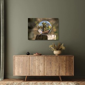 Tablou pe sticlă - Reflecție intr-o sferă transparentă (70x50 cm)