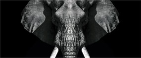 Tablou - Elefant pe fundal negru (120x50 cm)