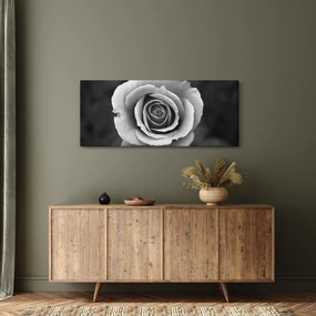 Tablou - Trandafir (120x50 cm)
