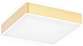 Plafoniera LED moderna ATLANTIS 25x25cm
