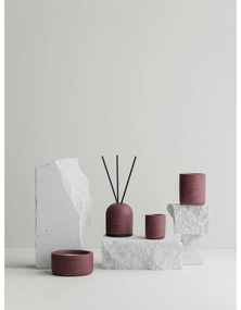 Difuzor de parfum Fraga: Cinnamon &amp; Apple – Blomus