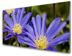 Tablouri acrilice Flori Floral violet