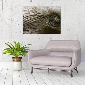 Tablou pe sticlă - Prim-planul ochiului de elefant vechi (70x50 cm)