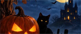 Tablou - Pisică neagră lângă un dovleac luminat de Halloween (120x50 cm)