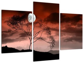 Tablou - Luna luminează noaptea (90x60 cm)