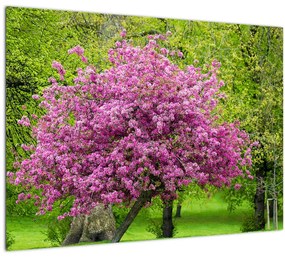 Tablou pe sticlă cu pom înflorit pe luncă (70x50 cm)