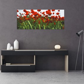 Tablou - Maci în vânt (120x50 cm)