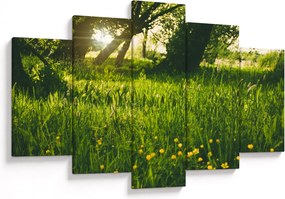 Tablou cu natura - lunca (150x105 cm)