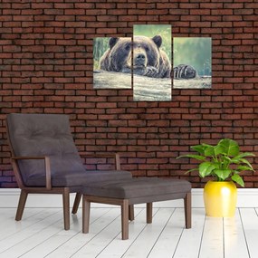 Tablou cu urs (90x60 cm)