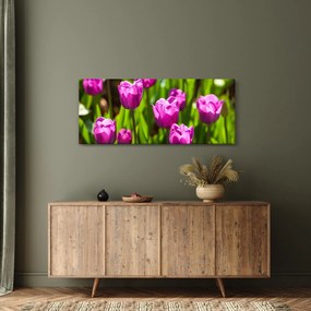 Tablou cu lale pe luncă (120x50 cm)