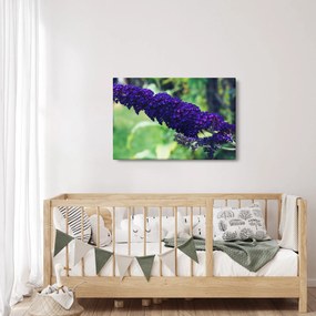 Tablou cu floare albastră (90x60 cm)