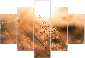 Tablou - Iarbă la soare (150x105 cm)
