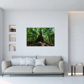 Tablou - Rădăcinile copacului (90x60 cm)
