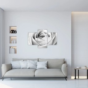 Tablou - Detailu de floare de trandafir (90x60 cm)