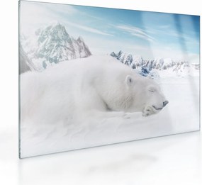 Tablou pe sticlă - Urs polar (70x50 cm)