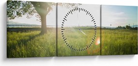 Tablou cu lunca în vară (cu ceas) (90x30 cm)