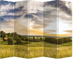 Paravan - Peisaj (210x170 cm)
