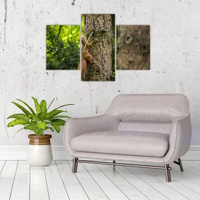 Tablou - Veverița (90x60 cm)