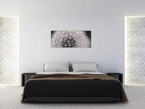 Tablou cu păpădie (120x50 cm)