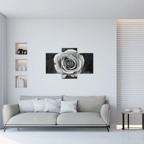 Tablou - Trandafir (90x60 cm)