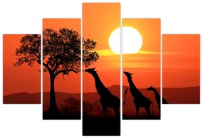 Tablou cu girafe în apus de soare (150x105 cm)