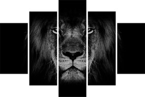 Tablou - Leu majestic (150x105 cm)